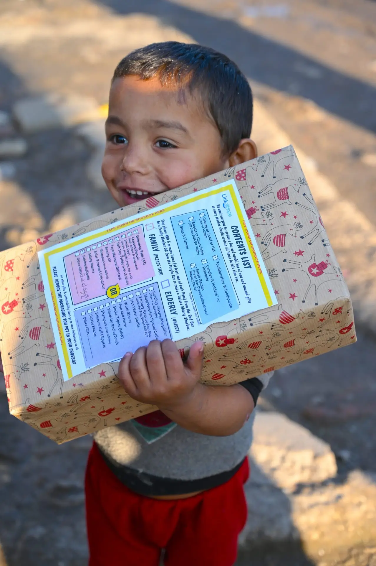 Shoebox Delivery Team - Link to Hope