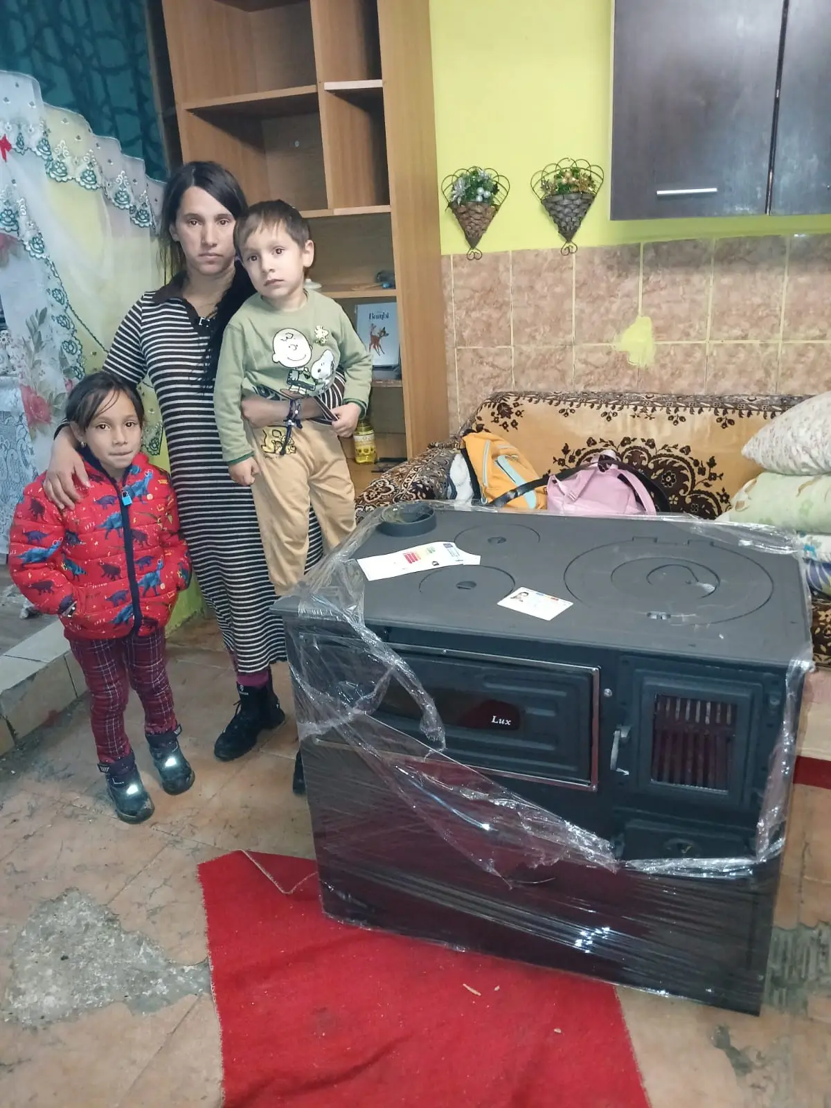 Link to Hope Wood & Stove Appeal