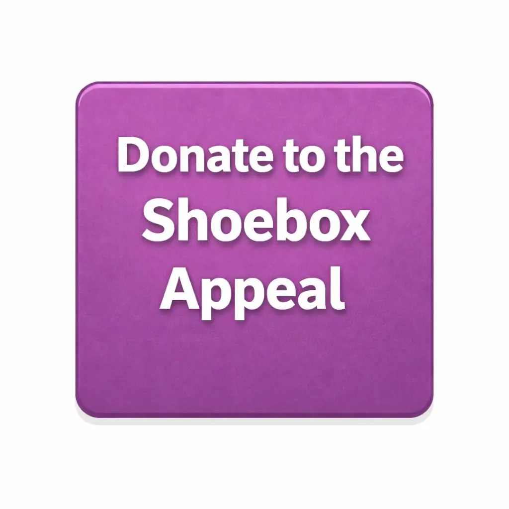 Donate to the Shoebox Appeal Link to Hope